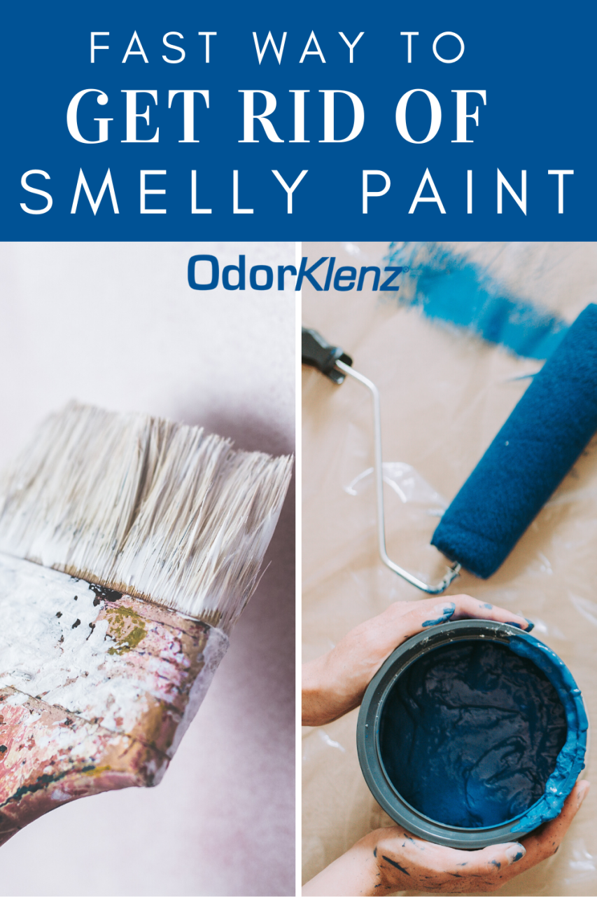 How to Get Paint Smell Out of House: A Step-by-Step Guide